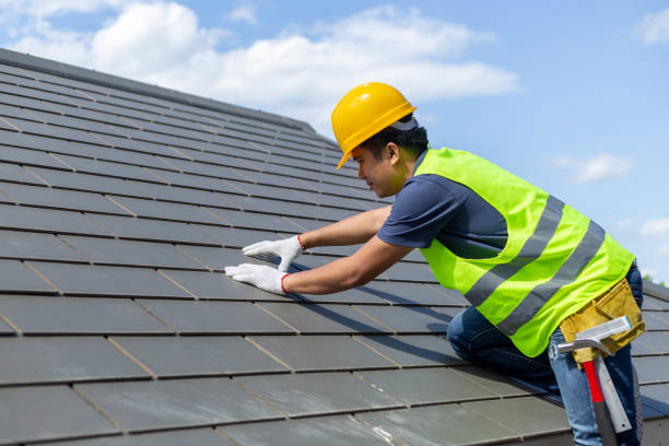 Best Residential Roofing Contractor  in Royal Palm Estates, FL