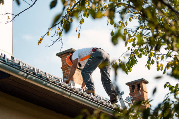 Best Roof Gutter Cleaning  in Royal Palm Estates, FL