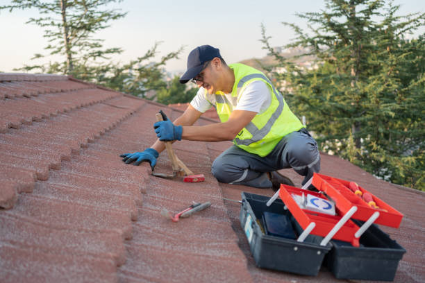 Best Residential Roofing Contractor  in Royal Palm Estates, FL